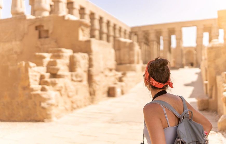 Ab Hurghada: Private Tagestour nach Luxor