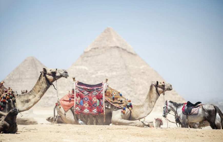 Tagesausflug Von Hurghada nach Kairo und Gizeh mit dem Bus