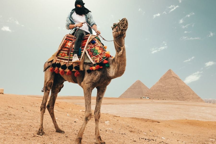 Day trip from Hurghada to Cairo and Giza by bus