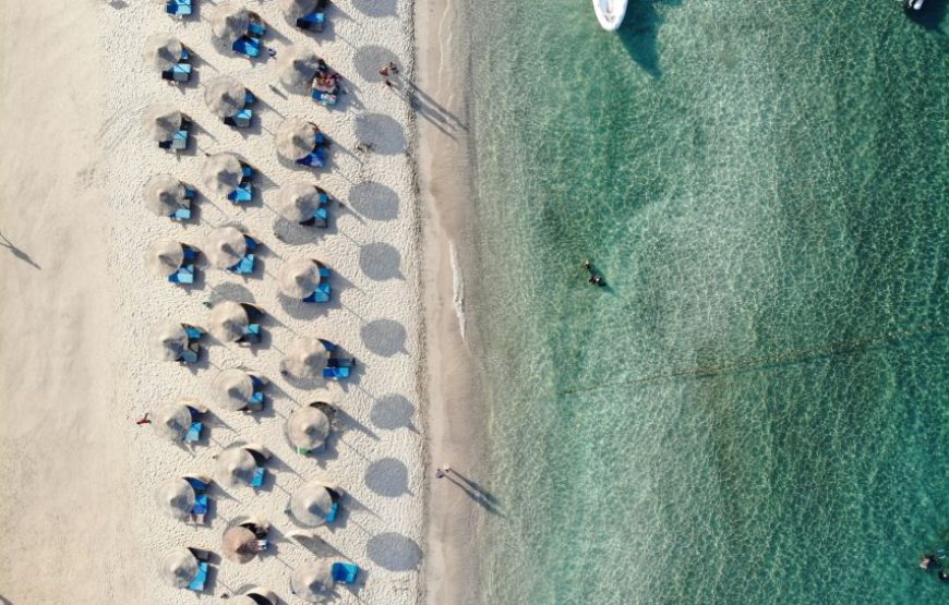 ABU DABBAB AUSFLUG SCHWIMMEN MIT SCHILDKRÖTEN