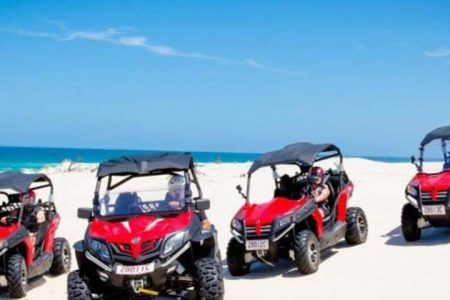 BUGGY SAFARI ABENTEUER