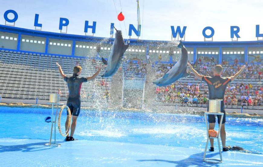 DELFINSHOW IN DER DELFIN WORLD MAKADI : TICKET UND TRANSFER