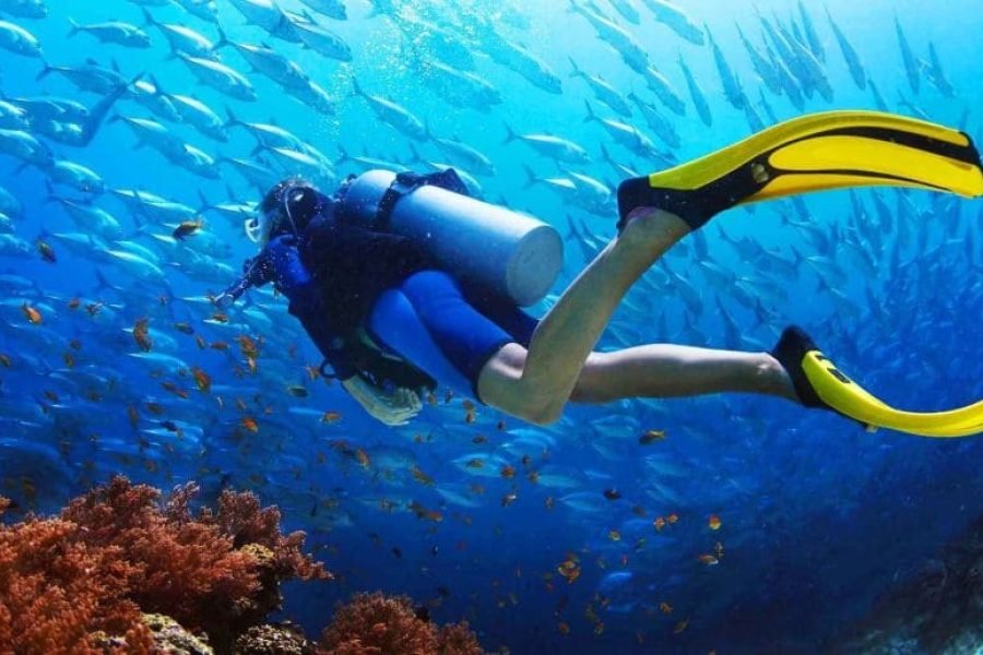 Hurghada Schnuppertauchen – Erste Taucherfahrung im Roten Meer