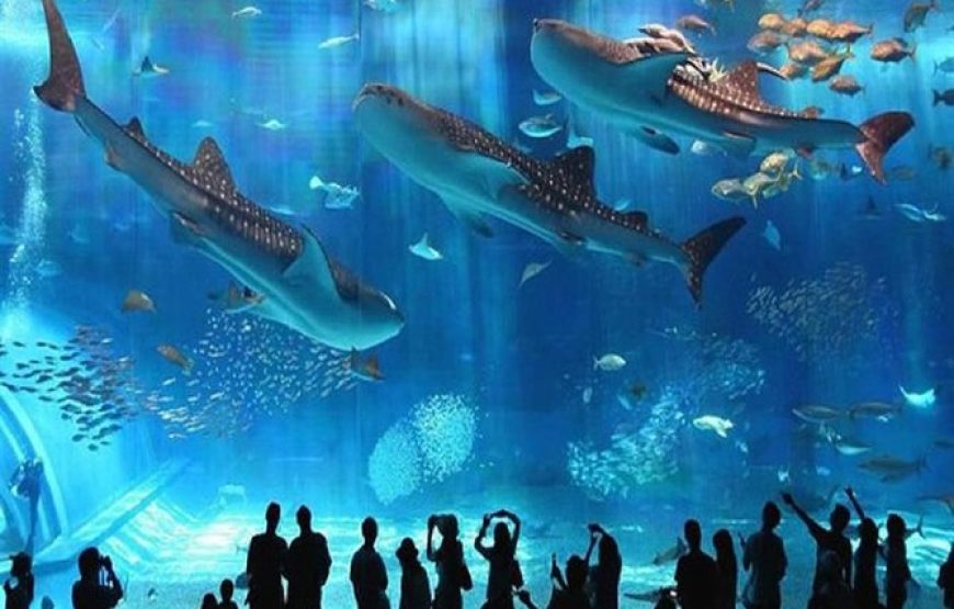 GRAND AQUARIUM: EINTRITTSTICKET & TOUR