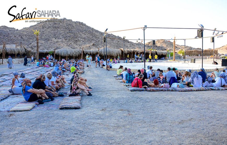 BUGGY SAFARI ABENTEUER