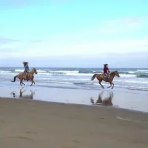 PFERDEREITEN AM STRAND UND IN DER WÜSTE