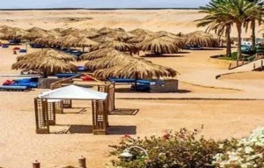 BUGGY SAFARI ABENTEUER