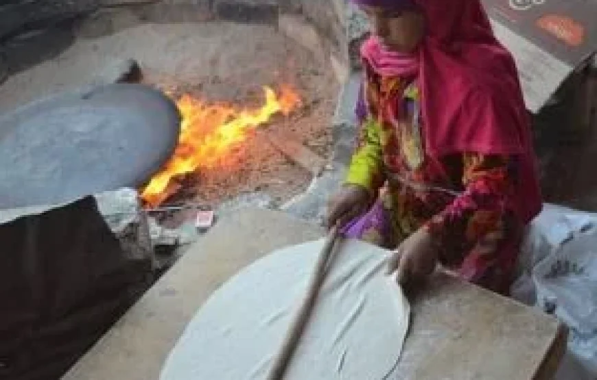 BUGGY SAFARI ABENTEUER