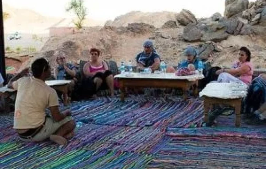 BUGGY SAFARI ABENTEUER