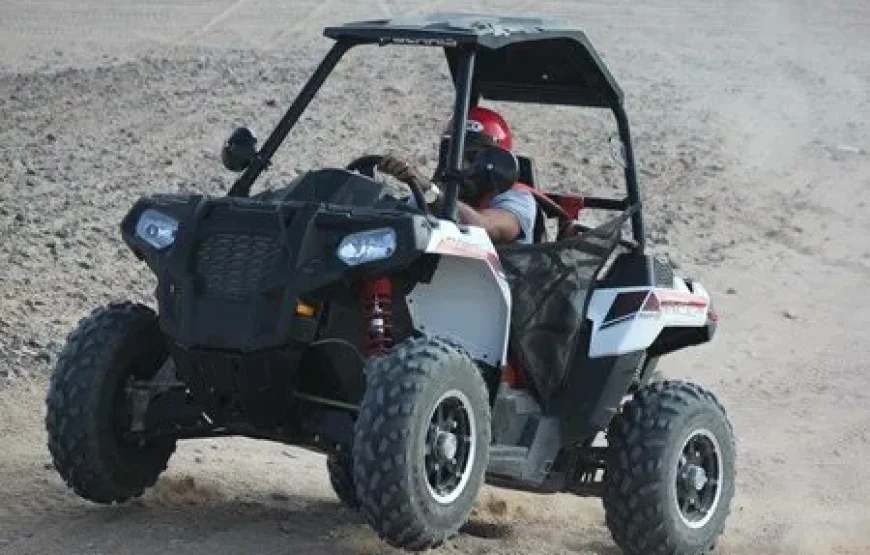 BUGGY SAFARI ABENTEUER