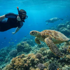 Abu Dabab Schnorchelausflug ab Hurghada – Turtles Bay Marsa Alam