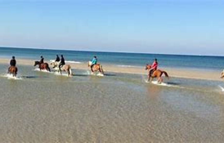 PFERDEREITEN AM STRAND UND IN DER WÜSTE: UNVERGESSLICHE ABENTEUER