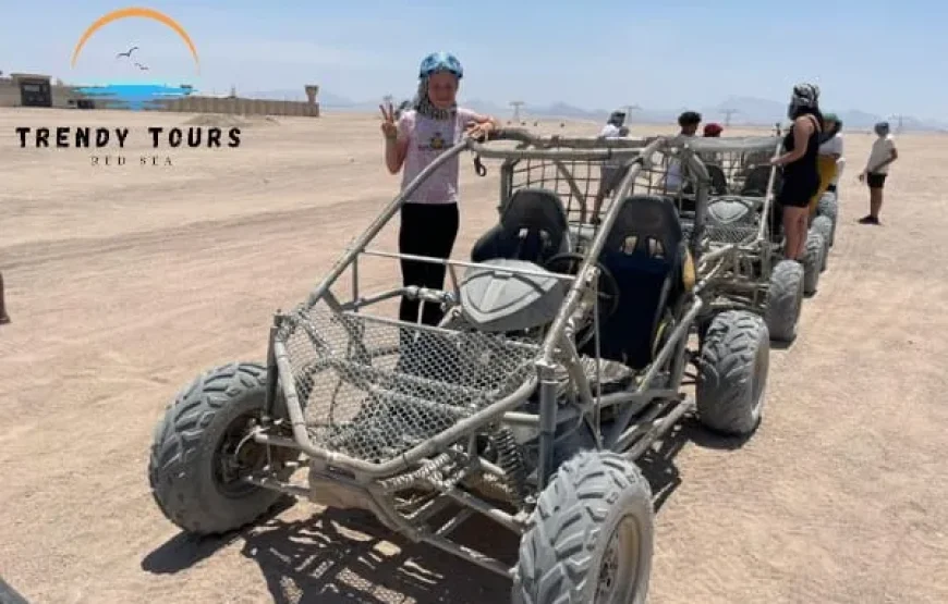 BUGGY SAFARI ABENTEUER