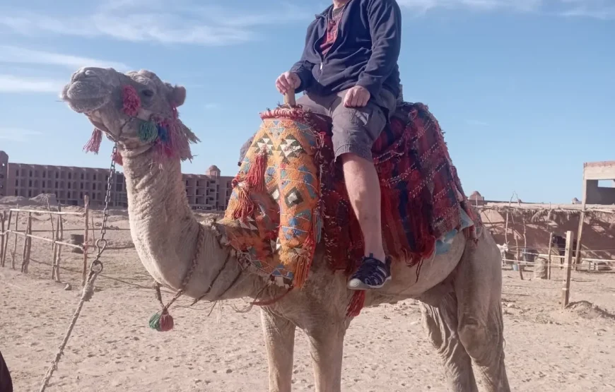 BUGGY SAFARI ABENTEUER