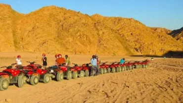 Die besten Safari-Touren in Hurghada