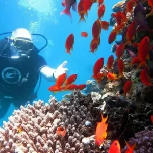 Hurghada Excursions