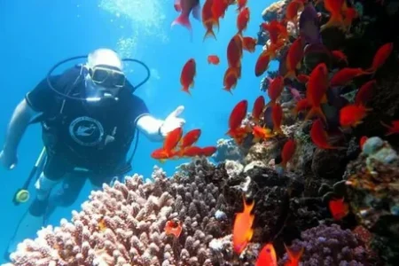 Hurghada Excursions: Your Ultimate Guide to Red Sea Adventures