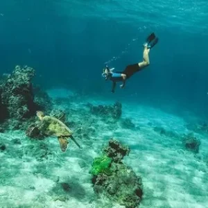 Snorkeling and Diving Experiences