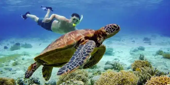 Hurghada egypt what to do Hurghada egypt what to do